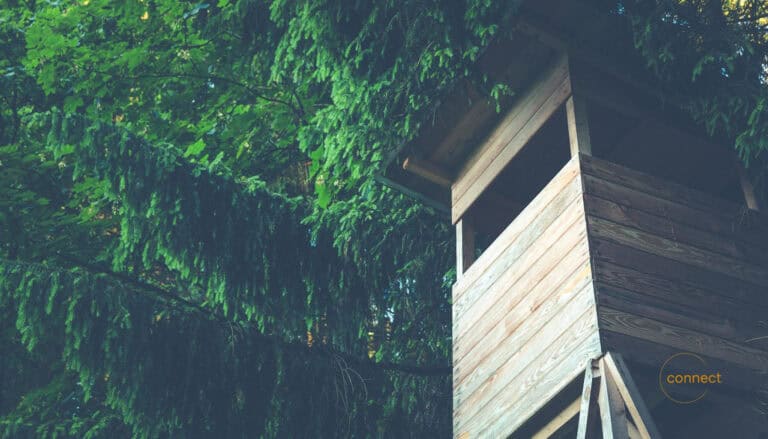 The Guide to Digital Detox for Personal Development